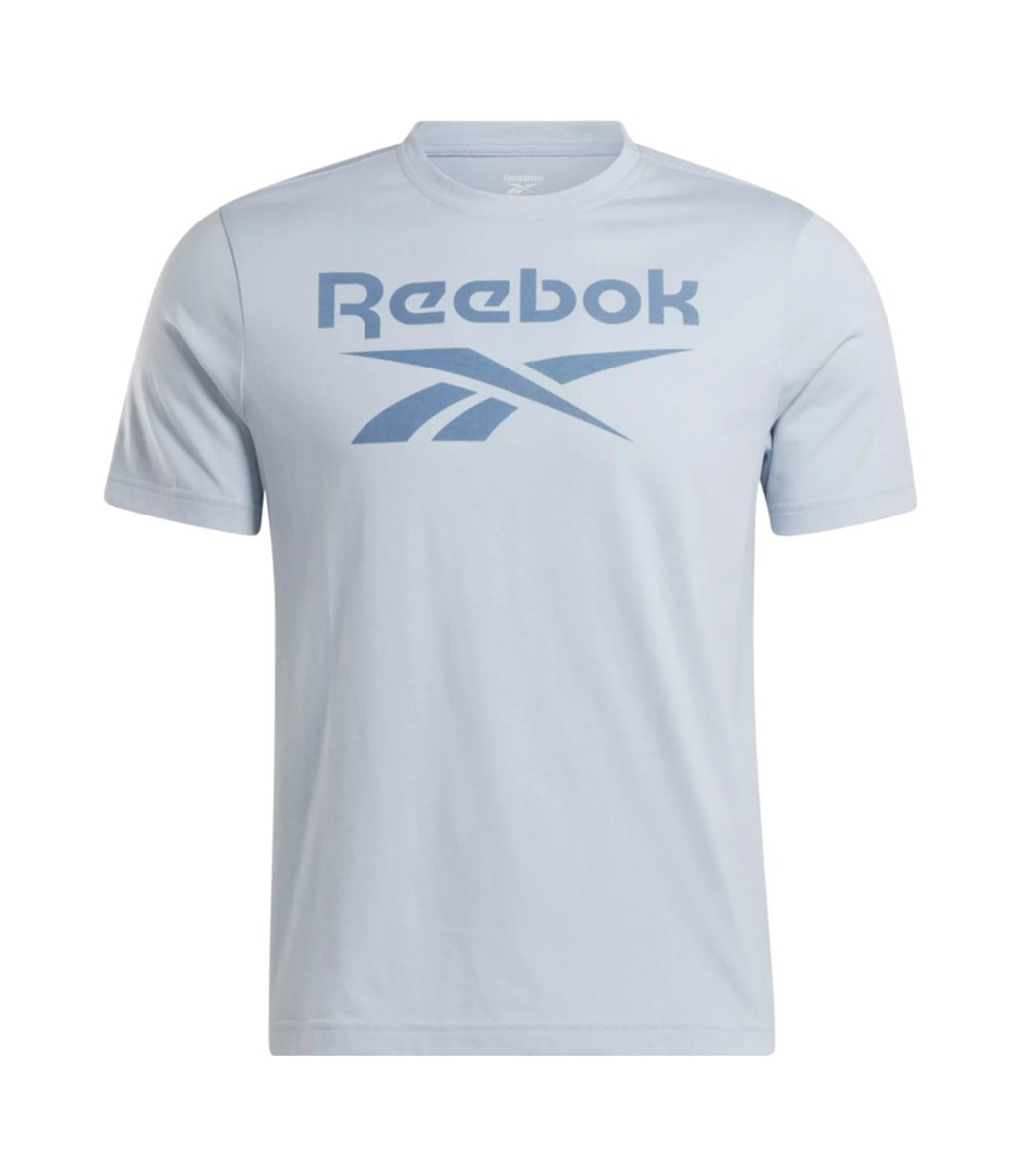 Reebok Identity Big Stacked Logo Kısa Kollu T-Shirt Açık Mavi
